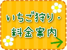 いちご狩り・料金案内