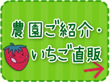 農園ご紹介・いちご直販