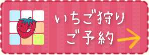 いちご狩り