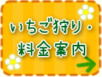 いちご狩り・料金案内