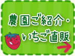農園ご紹介・いちご直販